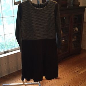 Ann Taylor Loft Dress NWT